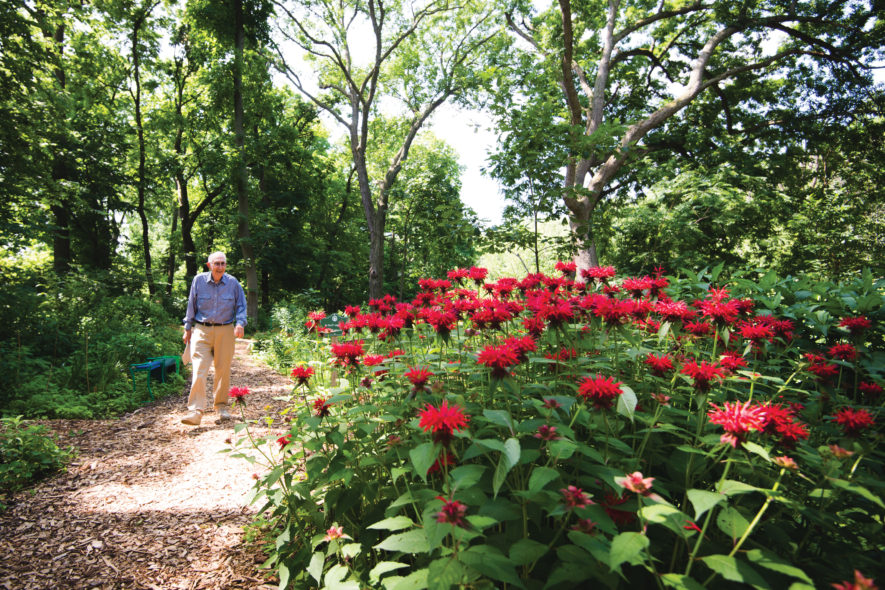 Man walking in woods with red flowers